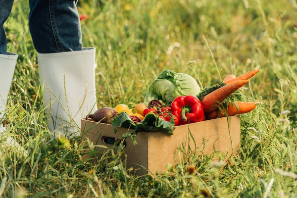 Abgeschnittene Ansicht eines Bauern in Gummistiefeln, der in der Nähe einer Schachtel voller reifes Gemüse steht — Stockfoto