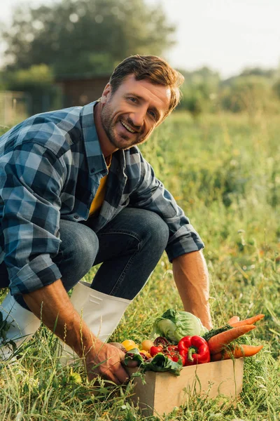 Bauer im karierten Hemd blickt in die Kamera in der Nähe einer Schachtel voll reifen Gemüses — Stockfoto