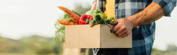 Vista cortada do fazendeiro em xadrez camisa segurando caixa cheia de legumes frescos, cabeçalho do site — Fotografia de Stock