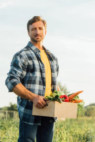 Bauer im karierten Hemd blickt in die Kamera, während er eine Schachtel mit reifem Gemüse in der Hand hält — Stockfoto