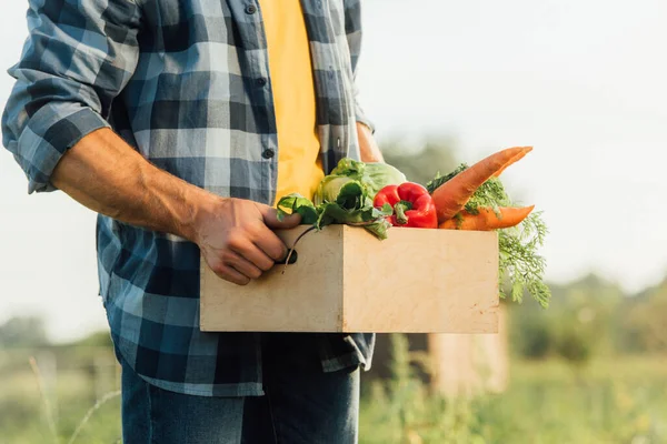 Частичный вид фермера в клетчатой рубашке, держащего коробку с спелыми овощами — стоковое фото