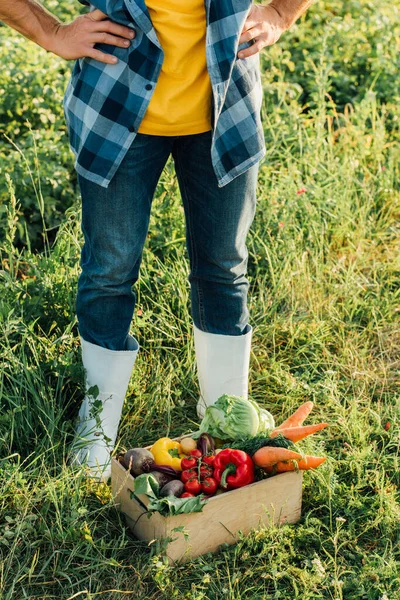 Vista recortada del agricultor en botas de goma de pie con las manos en las caderas cerca de la caja con verduras frescas - foto de stock