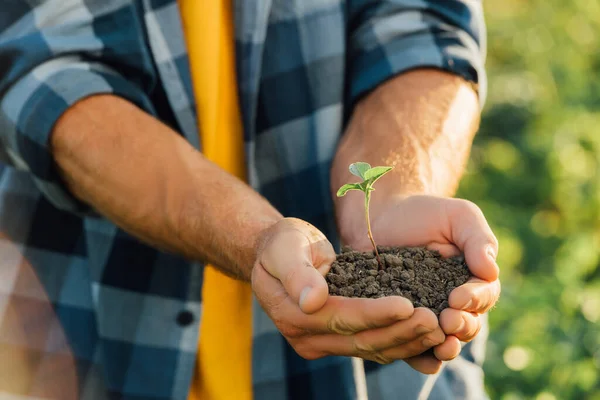 Vista parcial del agricultor con camisa a cuadros sosteniendo brote verde en las manos ventosas - foto de stock