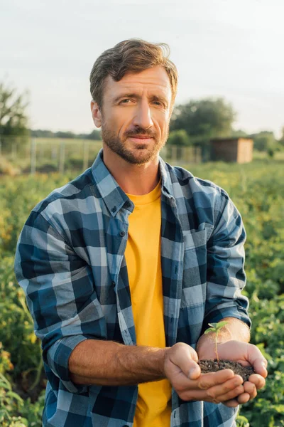 Farmer in plaid shirt holding green sprout in cupped hands while looking at camera — Stock Photo