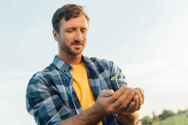 Низкий угол зрения фермера в клетчатой рубашке с молодым растением в чашечках руки против ясного неба — стоковое фото