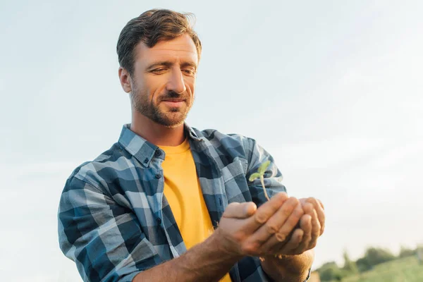 Vista de ángulo bajo del agricultor en camisa a cuadros con planta joven en manos ahuecadas contra el cielo despejado - foto de stock