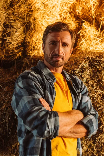 Rancher in checkered shirt looking at camera while standing near hay stack with crossed arms — Stock Photo