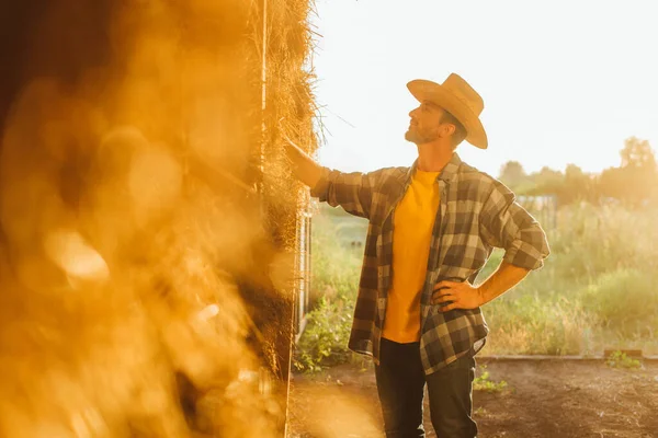 Foyer sélectif de l'agriculteur en chapeau de paille et chemise à carreaux touchant balle de foin au soleil — Photo de stock