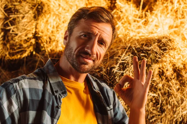 Farmer in checkered shirt showing okay sign while looking at camera near bale of hay — Stock Photo