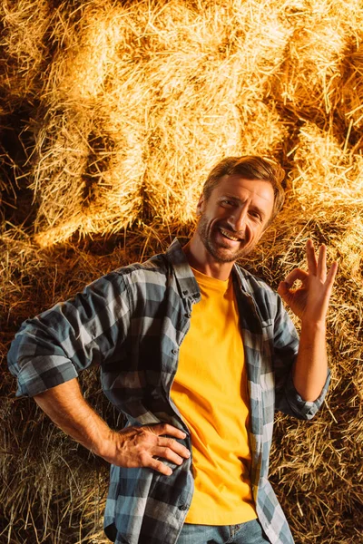 Rancher in plaid shirt showing okay gesture while looking at camera near hay stack — Stock Photo