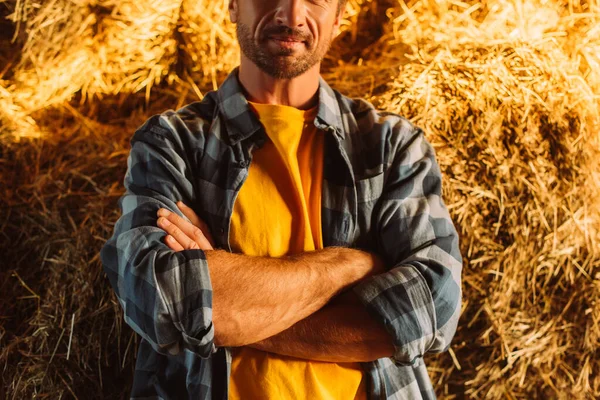 Vue recadrée de l'agriculteur en chemise à carreaux debout avec bras croisés près de la cheminée de foin à la ferme — Photo de stock