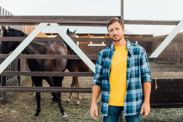 Rancher en chemise à carreaux debout près de corral avec des chevaux et regardant la caméra — Photo de stock