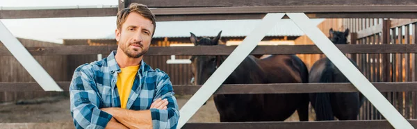 Concept horizontal de rancher en chemise à carreaux debout avec bras croisés près de corral avec des chevaux — Photo de stock