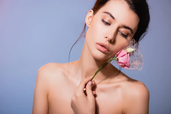 Young and naked woman holding flowers in polyethylene isolated on grey, ecology concept — Stock Photo