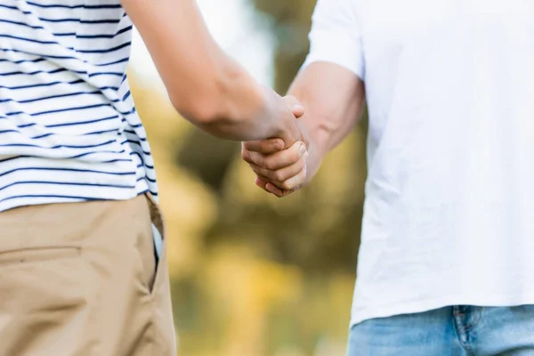 Cropped view of father and son shaking hands — Stock Photo