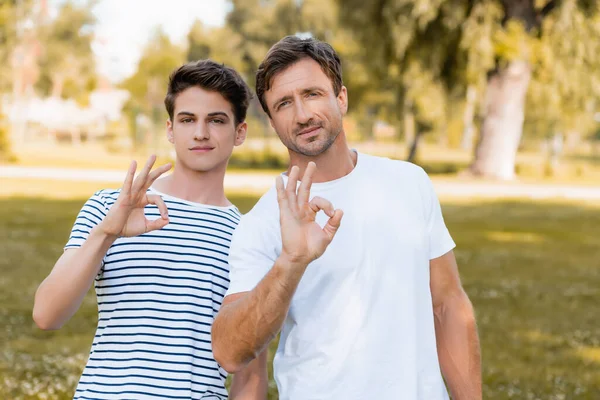 Padre y adolescente hijo en camisetas mostrando ok signo en parque - foto de stock