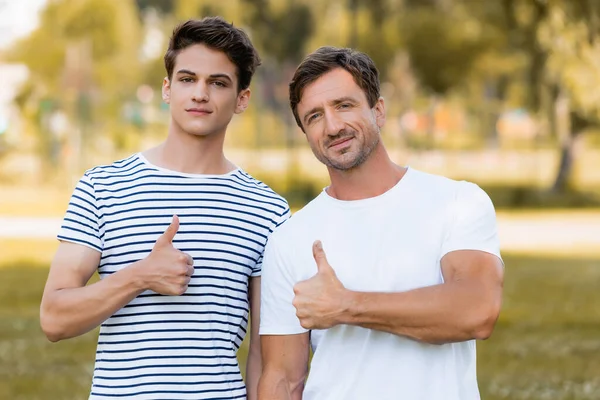 Padre e hijo adolescente en camisetas mostrando pulgares hacia arriba en el parque - foto de stock