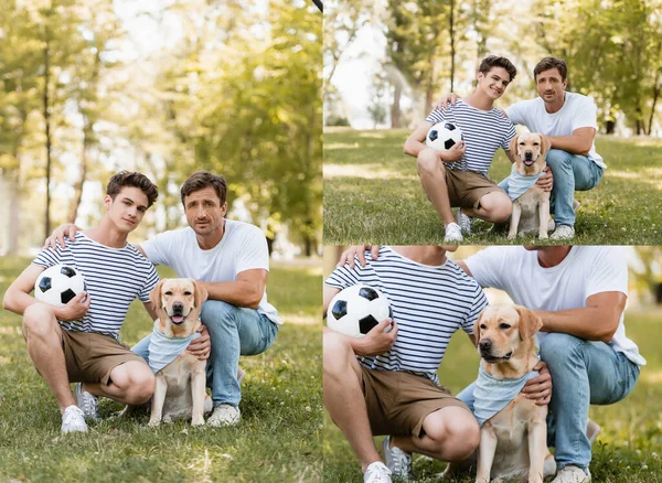 Collage of father and son with football sitting on grass near golden retriever — Stock Photo