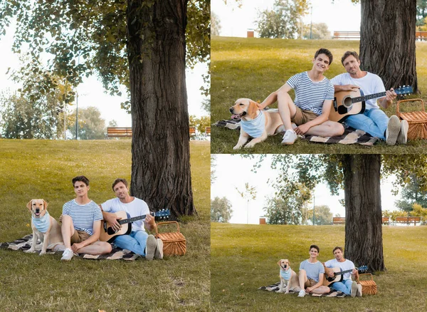 Collage di padre suonare la chitarra acustica e seduto sulla coperta vicino al figlio e golden retriever — Foto stock