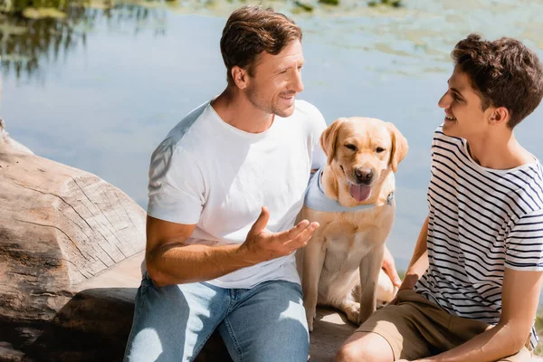 Père et fils regardant l'autre tout en étant assis près golden retriever et lac — Photo de stock