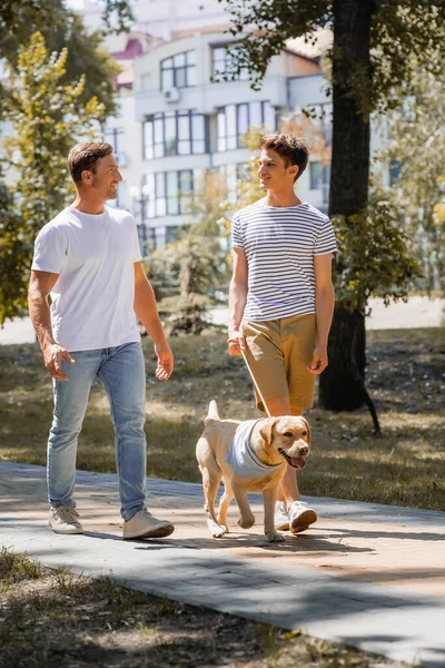 Father and teenager son looking at each other and walking in park with golden retriever — Stock Photo