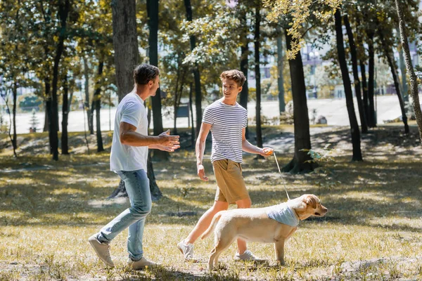 Father looking at teenager son walking in park with golden retriever — Stock Photo