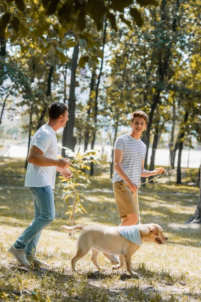 Hombre mirando adolescente hijo caminando en parque con golden retriever - foto de stock