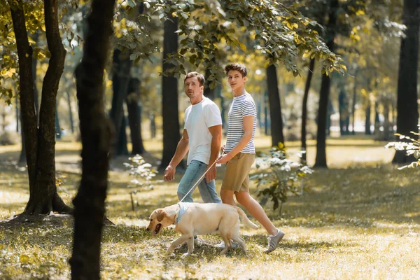 Foyer sélectif du père et de l'adolescent fils regardant la caméra tout en marchant dans le parc avec golden retriever — Photo de stock