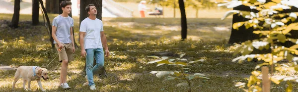 Imagem horizontal do homem olhando para cima perto do filho adolescente andando no parque com golden retriever — Fotografia de Stock