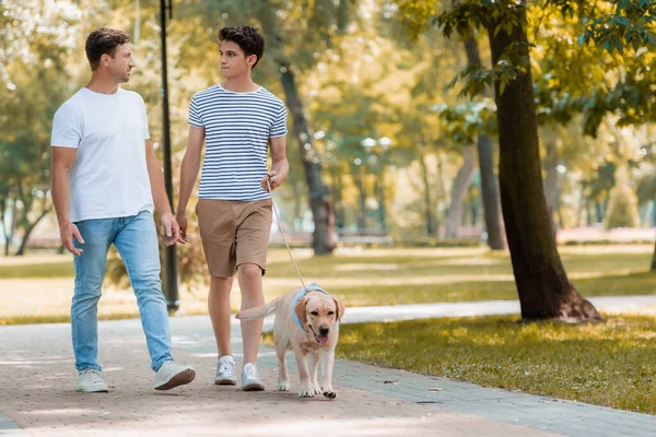 Teenager son and father looking at each other while walking with golden retriever on asphalt — Stock Photo