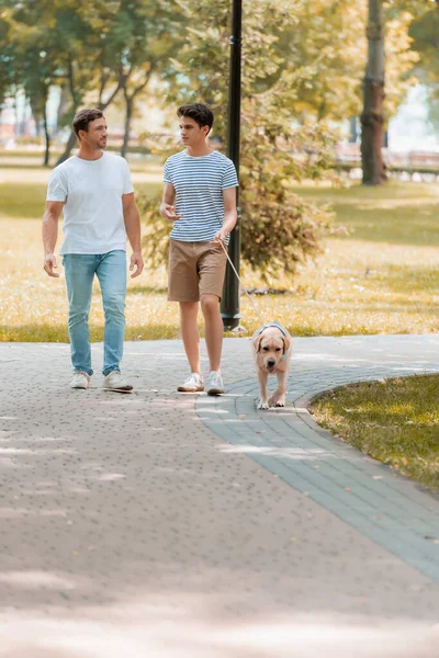 Hijo adolescente y padre mirándose el uno al otro y caminando con golden retriever sobre asfalto - foto de stock