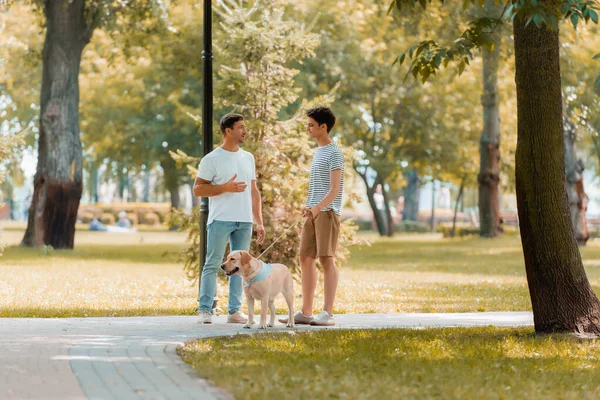 Hijo adolescente y padre mirándose el uno al otro, hablando y de pie con golden retriever en asfalto - foto de stock