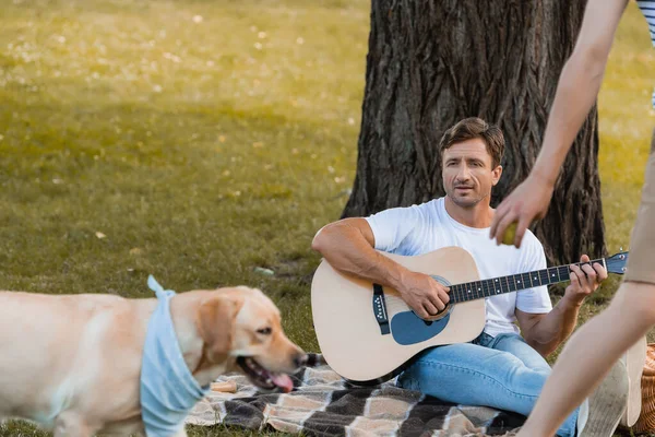 Foco seletivo do pai sentado sob a árvore e tocando guitarra acústica enquanto olha para o filho adolescente e golden retriever — Fotografia de Stock