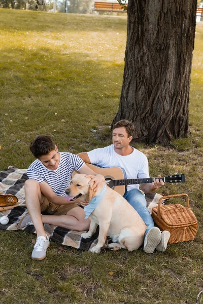 Father sitting under tree and playing acoustic guitar while looking at teenager son and golden retriever — Stock Photo