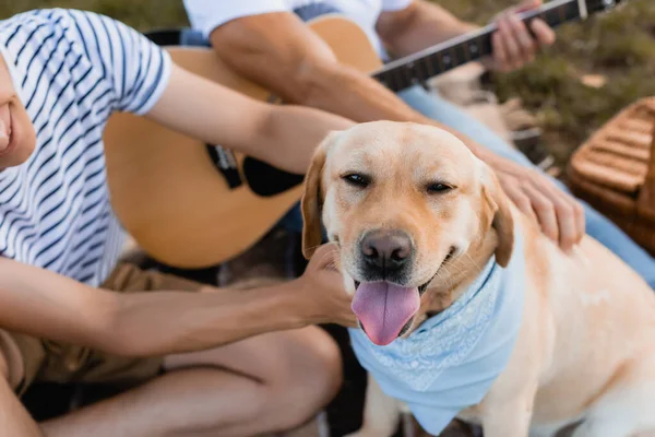 Corte vista de homem e adolescente menino abraçando golden retriever — Fotografia de Stock