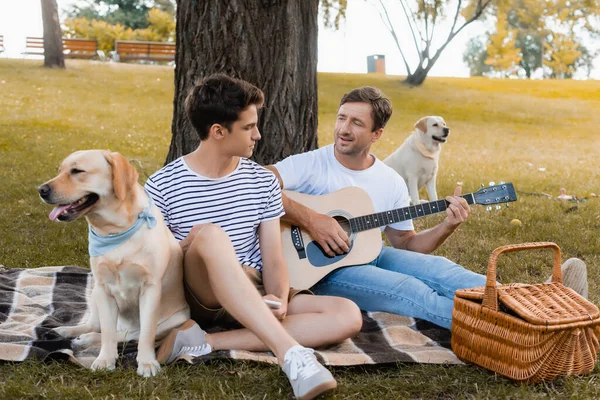 Pai tocando guitarra acústica perto do filho adolescente e golden retrievers — Fotografia de Stock