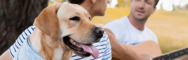Panoramic shot of golden retriever near teenager boy and man with acoustic guitar in park — Stock Photo