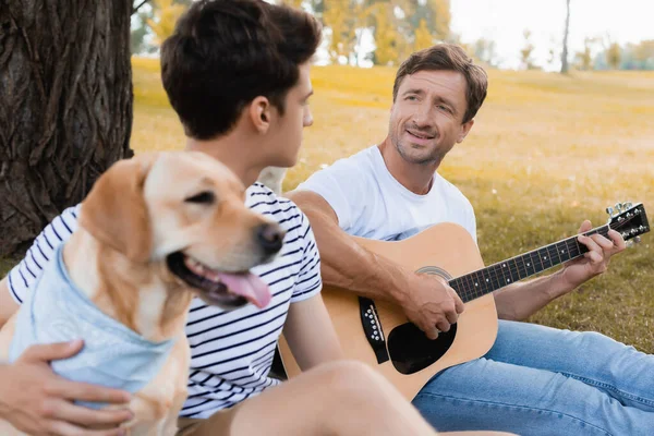 Messa a fuoco selettiva di uomo suonare la chitarra acustica vicino figlio adolescente e golden retriever nel parco — Foto stock