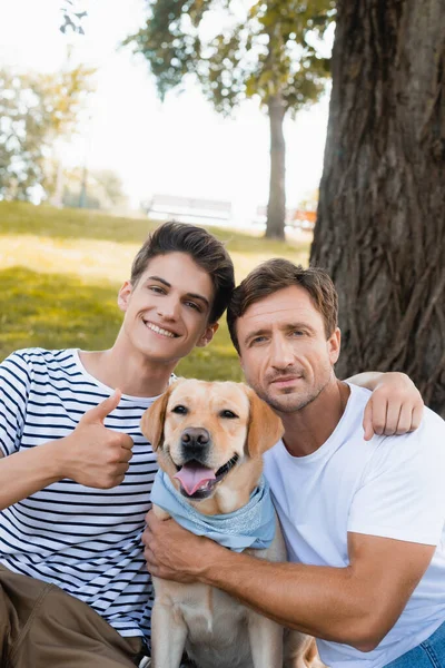 Adolescente ragazzo mostrando pollice in su mentre abbraccia il padre vicino golden retriever — Foto stock