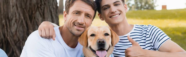 Panoramic crop of teenager son showing thumb up while hugging father near golden retriever — Stock Photo