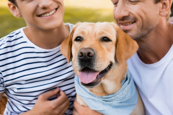 Golden retriever cerca de alegre padre e hijo adolescente - foto de stock