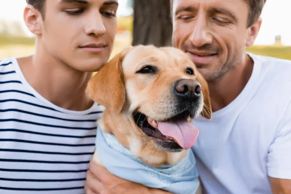 Father and teenager son looking at golden retriever — Stock Photo