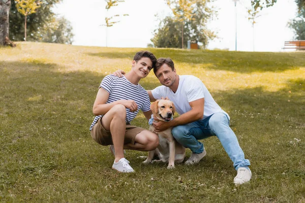 Pai abraçando adolescente menino perto golden retriever enquanto sentado na grama no parque — Fotografia de Stock