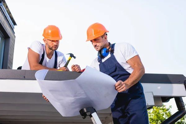 Handyman tenendo cianografia mentre in piedi sulla scala vicino collega con martello sul tetto dell'edificio — Foto stock