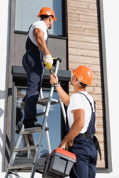 Concentration sélective de l'ouvrier avec boîte à outils donnant un marteau à un collègue sur l'échelle près du bâtiment — Photo de stock