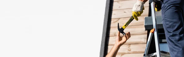 Panoramic shot of builder giving hammer to colleague while working on ladder near building isolated on white — Stock Photo