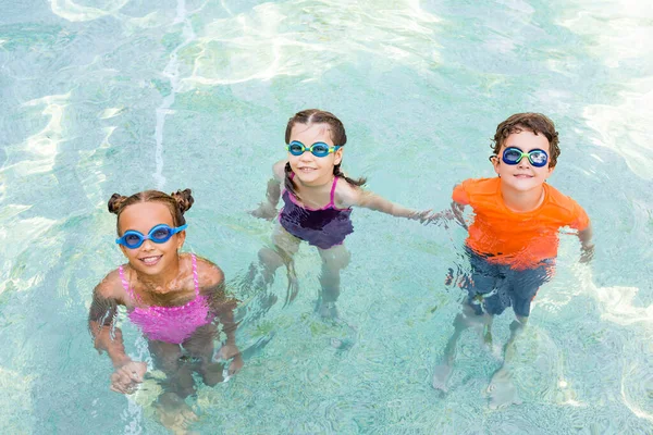 Vista de ángulo alto de amigos en gafas de natación mirando a la cámara mientras pasa tiempo en la piscina - foto de stock