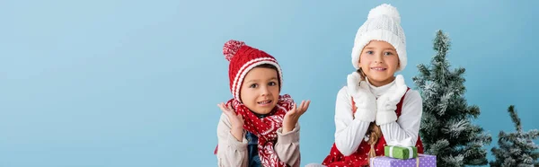 Панорамний знімок дітей в зимовому вбранні жестикулює біля подарунків і ялиця ізольована на синьому — стокове фото