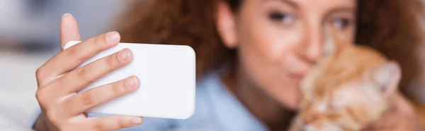 Panoramic shot of young woman taking selfie with cat at home — Stock Photo