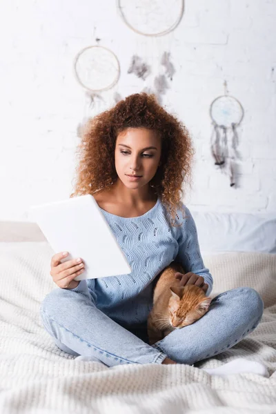 Donna dai capelli rossi in maglione con tablet digitale e gatto petting sul letto — Foto stock